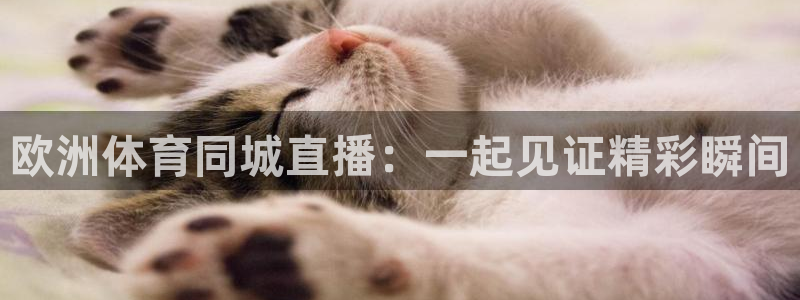 壹号娱乐app下载：欧洲体育同城直播：一起见证精彩瞬间