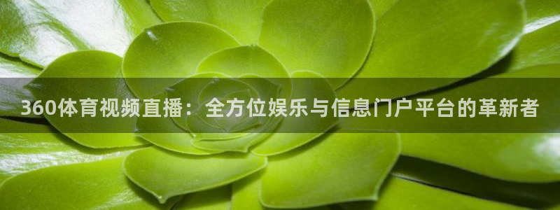 壹号娱乐.com：360体育视频直播：全方位娱乐与信息门户平台的革新者
