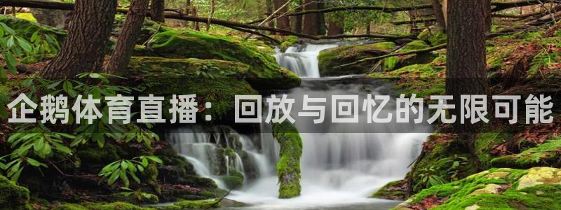 壹号娱乐官方app下载安装：企鹅体育直播：回放与回忆的无限可能