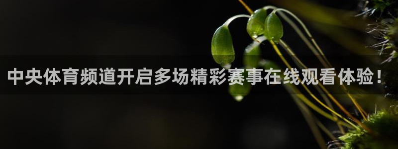 pg壹号娱乐：中央体育频道开启多场精彩赛事在线观看体验！