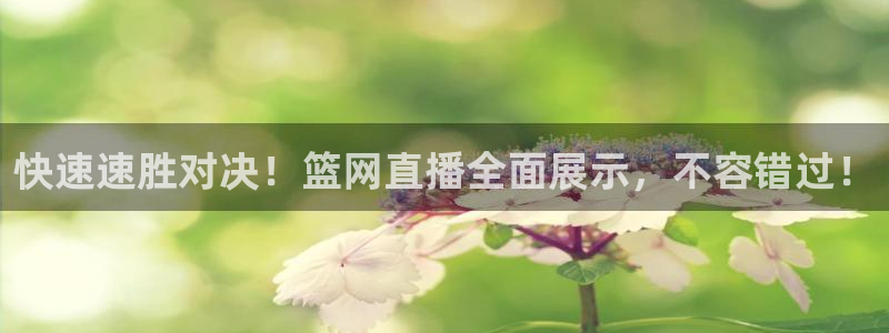 壹号娱乐app官网下载苹果：快速速胜对决！篮网直播全面展示，不容错过！