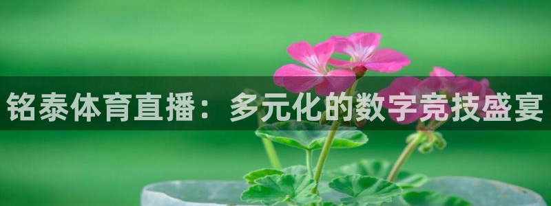 壹号电子娱乐app下载：铭泰体育直播：多元化的数字竞技盛宴