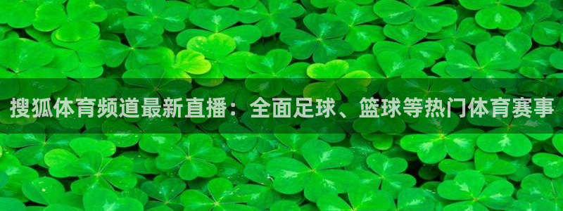 壹号娱乐平台app下载安装：搜狐体育频道最新直播：全面足球、篮球等热门体育赛事