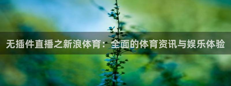 壹号娱乐平台app下载：无插件直播之新浪体育：全面的体育资讯与娱乐体验