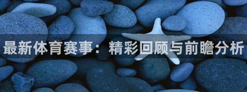 壹号娱乐下载：最新体育赛事：精彩回顾与前瞻分析