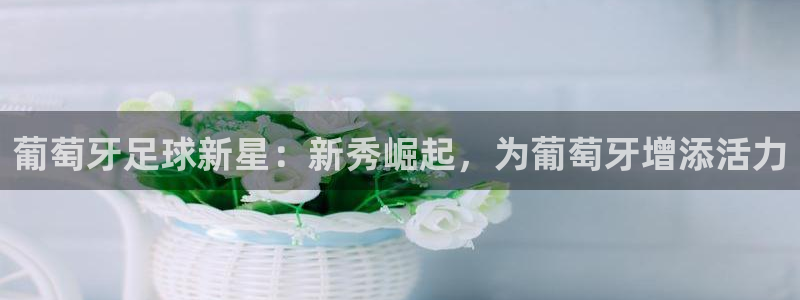 壹号pg电子游戏：葡萄牙足球新星：新秀崛起，为葡萄牙增添活力