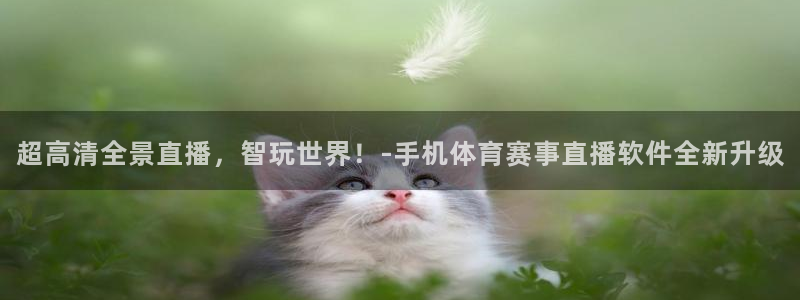 壹号娱乐app下载安装：超高清全景直播，智玩世界！-手机体育赛事直播软件全新升级