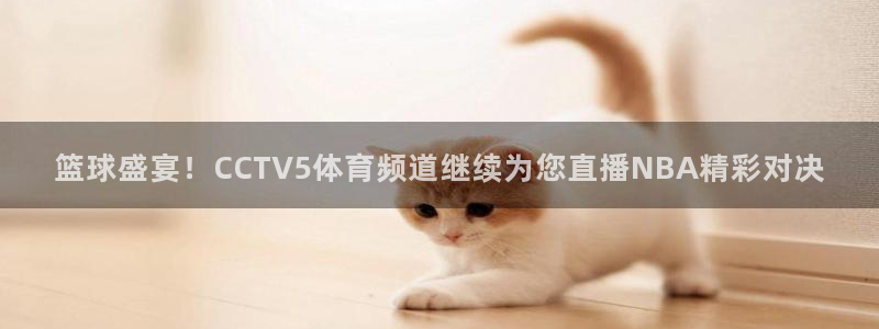 壹号娱乐app官网下载：篮球盛宴！CCTV5体育频道继续为您直播NBA精彩对决