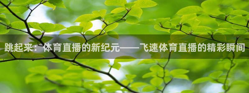 壹号娱乐pg：跳起来：体育直播的新纪元——飞速体育直播的精彩瞬间