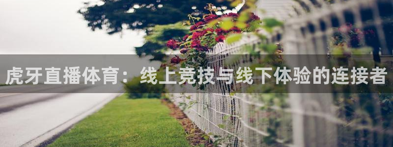 壹号娱乐下载：虎牙直播体育：线上竞技与线下体验的连接者