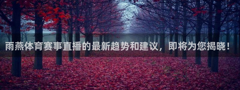 壹号娱乐app官网下载：雨燕体育赛事直播的最新趋势和建议，即将为您揭晓！