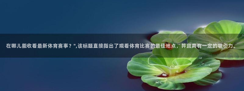 壹号娱乐app：在哪儿能收看最新体育赛事？\