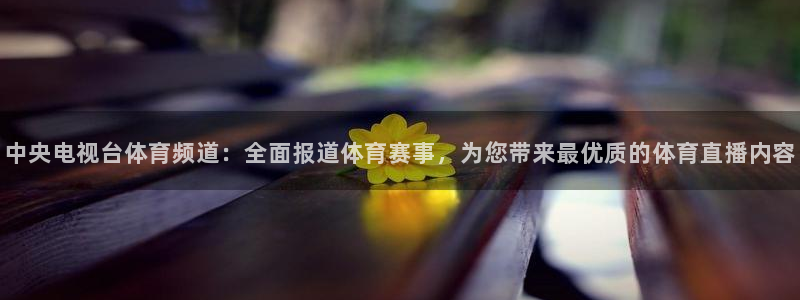 壹号娱乐官方app下载安装：中央电视台体育频道：全面报道体育赛事，为您带来最优质的体育直播内容