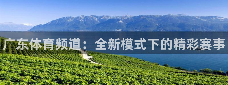 壹号娱乐,com：广东体育频道：全新模式下的精彩赛事