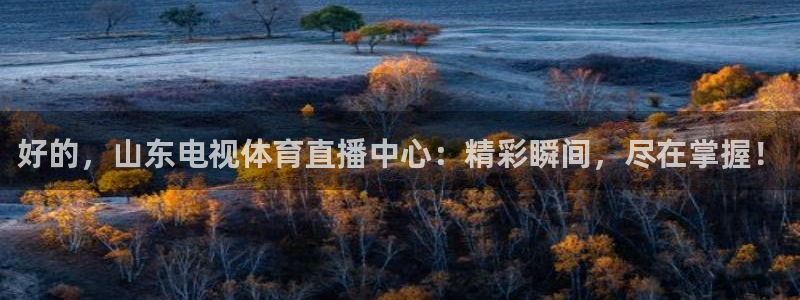 壹号娱乐app下载安装：好的，山东电视体育直播中心：精彩瞬间，尽在掌握！