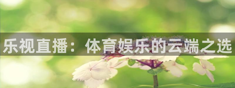pg壹号平台下载安装：乐视直播：体育娱乐的云端之选