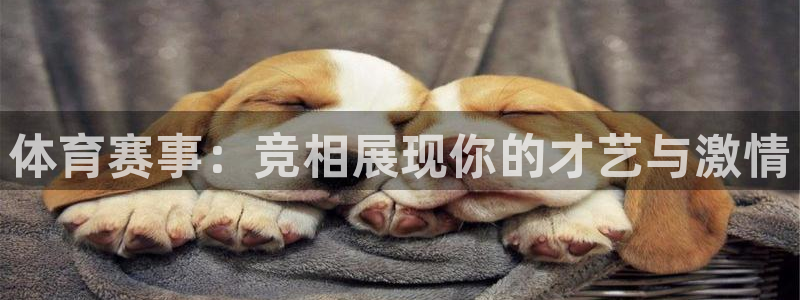 壹号娱乐网址：体育赛事：竞相展现你的才艺与激情