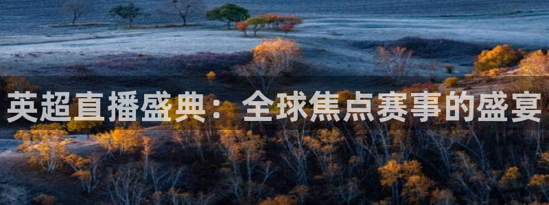 壹号娱乐平台app下载安装：英超直播盛典：全球焦点赛事的盛宴