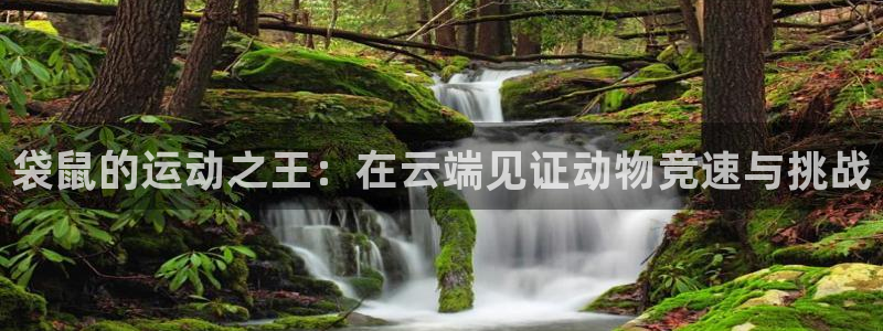 壹号pg娱乐电子游戏官方版官方网站：袋鼠的运动之王：在云端见证动物竞速与挑战
