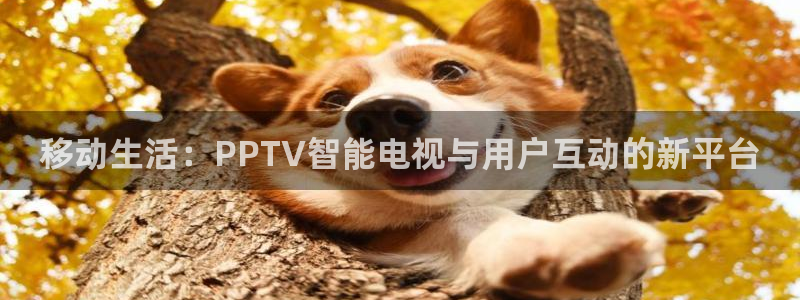 壹号pg电子娱乐：移动生活：PPTV智能电视与用户互动的新平台