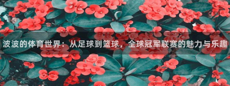 壹号娱乐链接：波波的体育世界：从足球到篮球，全球冠军联赛的魅力与乐趣