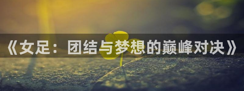 壹号娱乐.：《女足：团结与梦想的巅峰对决》