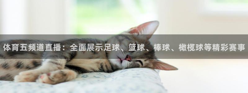 壹号娱乐app下载安装：体育五频道直播：全面展示足球、篮球、棒球、橄榄球等精彩赛事